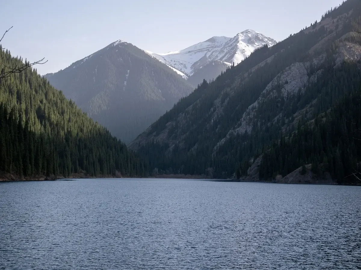 Первое Кольсайское озеро — вид с берега, тянь-шаньские ели