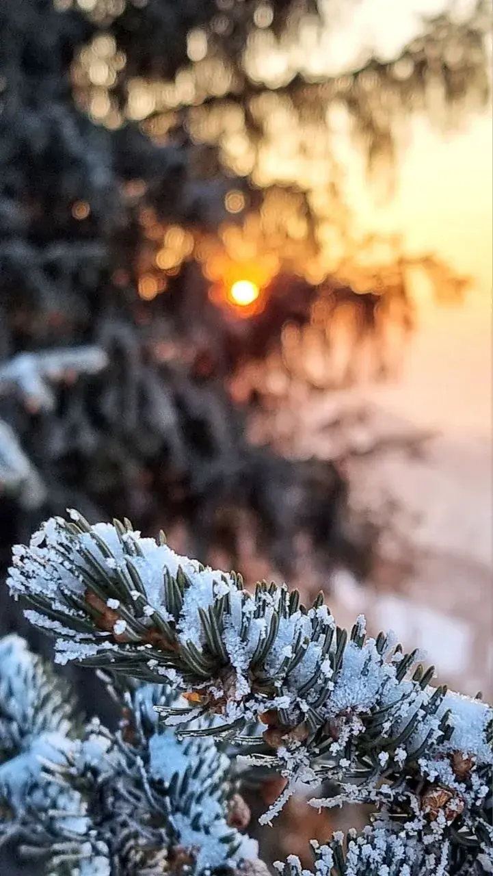 Ким-Асар тропа